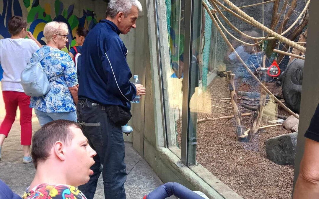 Podopieczni OW-DDP w Orientarium i ZOO w Łodzi