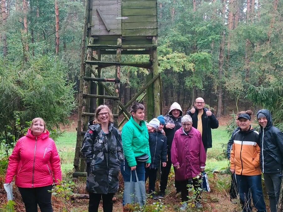 Grzybobranie w Kaletach